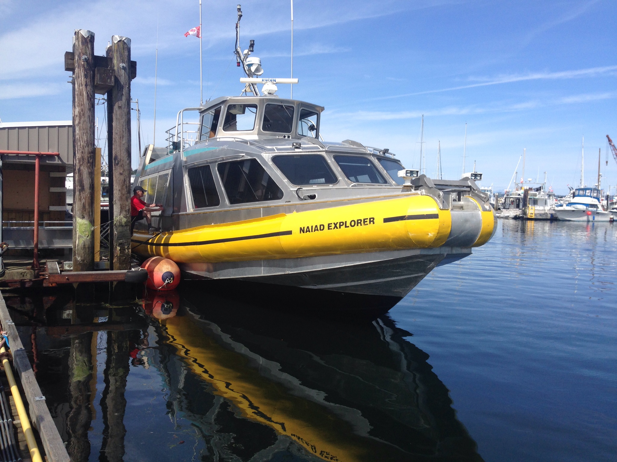 Mackay's Naiad explorer